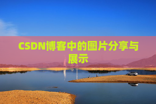CSDN博客中的图片分享与展示